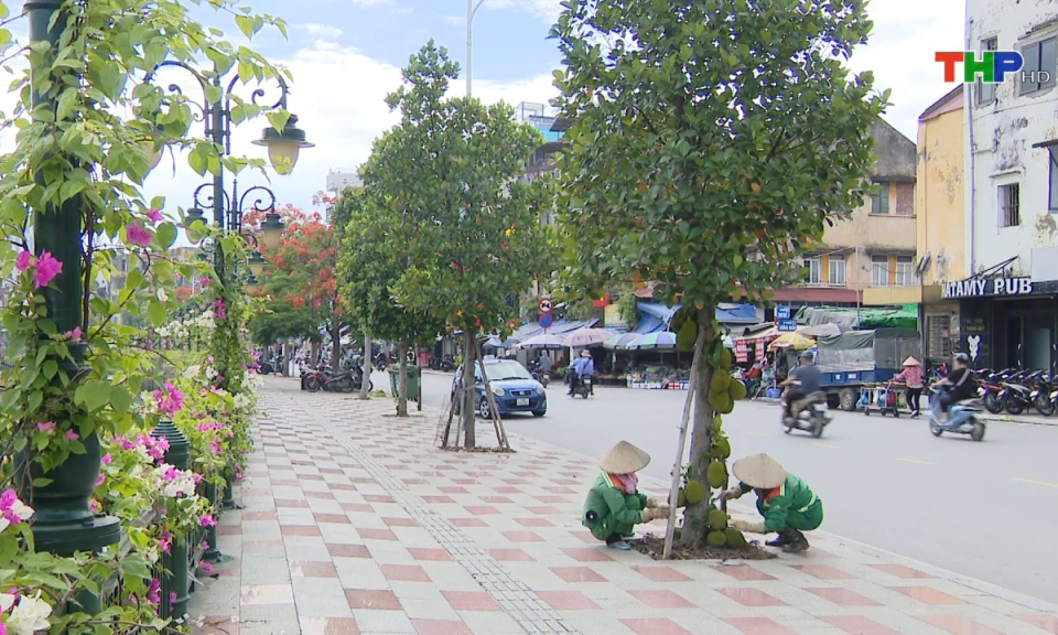 Bản tin thời sự tối (28/08/2024)