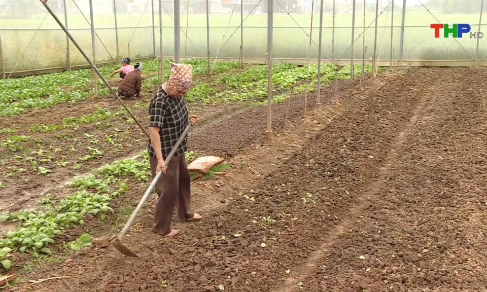 10 ph&uacute;t v&agrave;ng (30/08/2024)