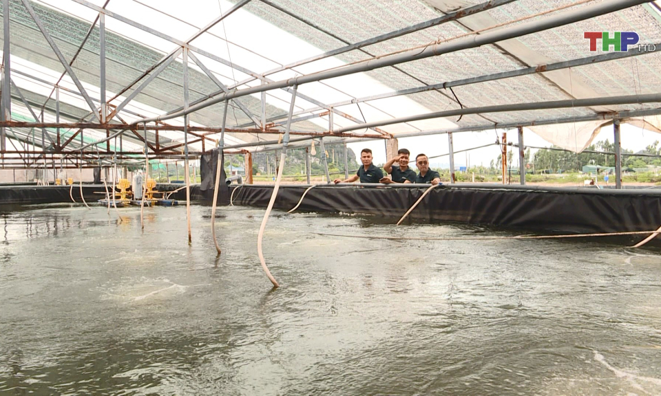 Th&aacute;o gỡ kh&oacute; khăn trong ph&aacute;t triển n&ocirc;ng nghiệp c&ocirc;ng nghệ cao