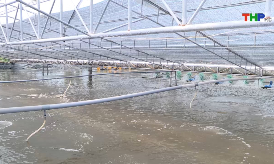 Bản tin thời sự s&aacute;ng (01/09/2024)