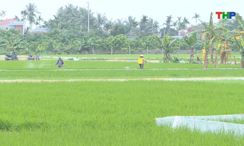 Kinh tế v&agrave; đ&ocirc; thị: Giải b&agrave;i to&aacute;n về nh&acirc;n lực cho c&aacute;c HTX n&ocirc;ng nghiệp