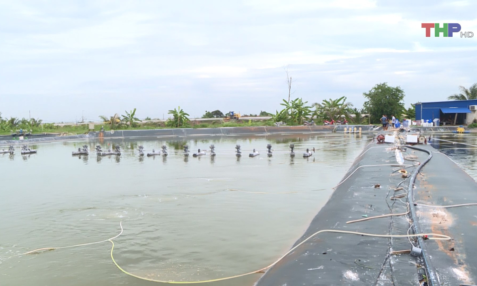 Ứng dụng c&ocirc;ng nghệ trong nu&ocirc;i trồng thủy sản