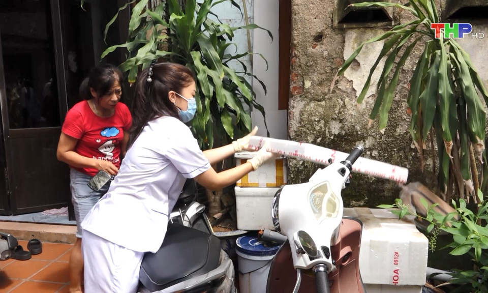 Ph&ograve;ng, chống dịch sốt xuất huyết