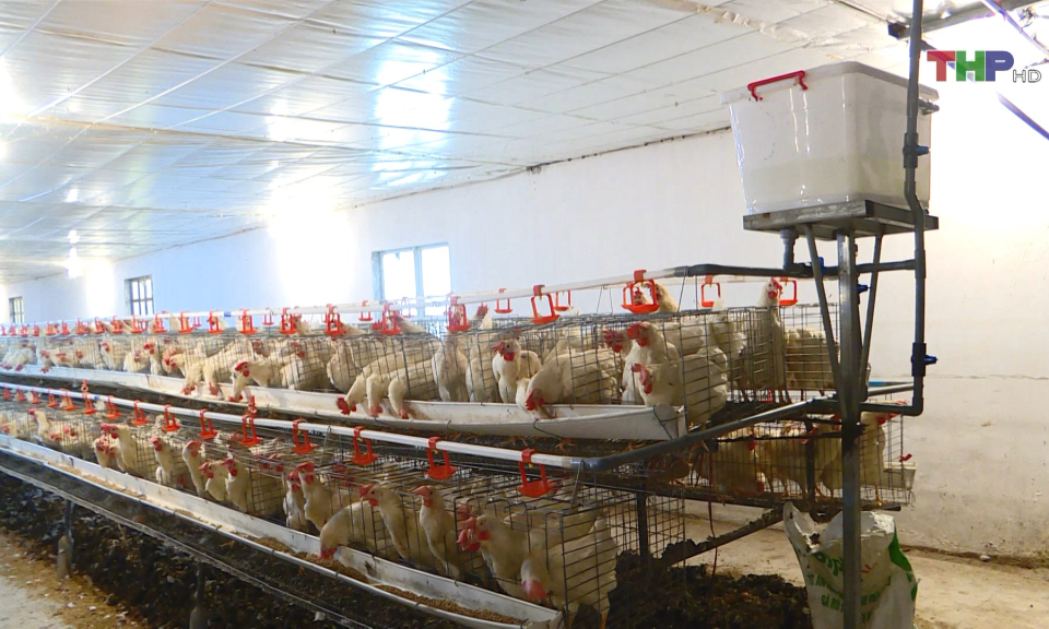 M&ocirc; h&igrave;nh nu&ocirc;i s&acirc;u canxi 