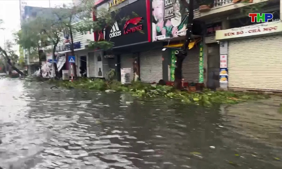 H&igrave;nh ảnh th&agrave;nh phố sau b&atilde;o