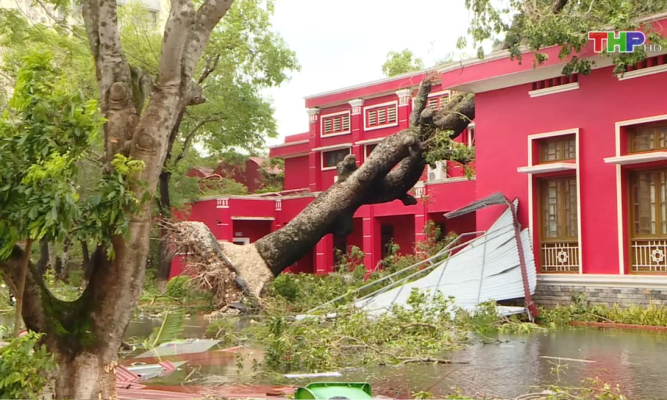 Bản tin thời sự trưa (08/09/2024)