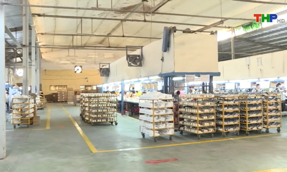 Bản tin tiếng Anh (08/09/2024)