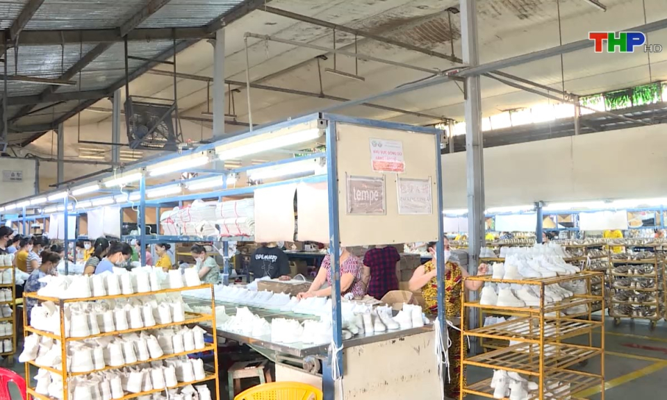 Bản tin tiếng Trung (08/09/2024)