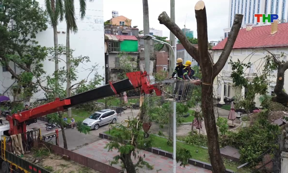 Bản tin thời sự tối (09/09/2024)