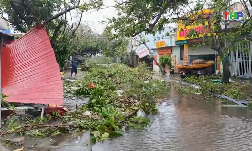 Khắc phục hậu quả b&atilde;o số 3 tại huyện Bạch Long Vỹ      