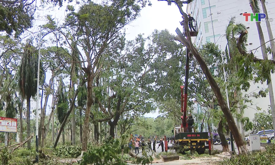 Tập trung khắc phục t&igrave;nh trạng c&acirc;y xanh g&atilde;y đổ sau b&atilde;o