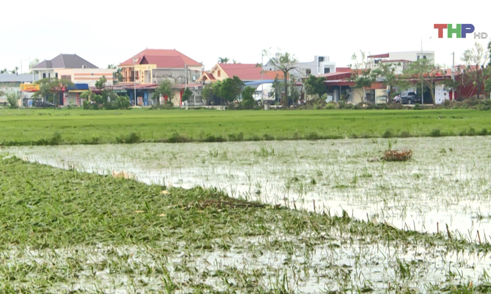 Ứng ph&oacute; với ngập &uacute;ng sau b&atilde;o số 3