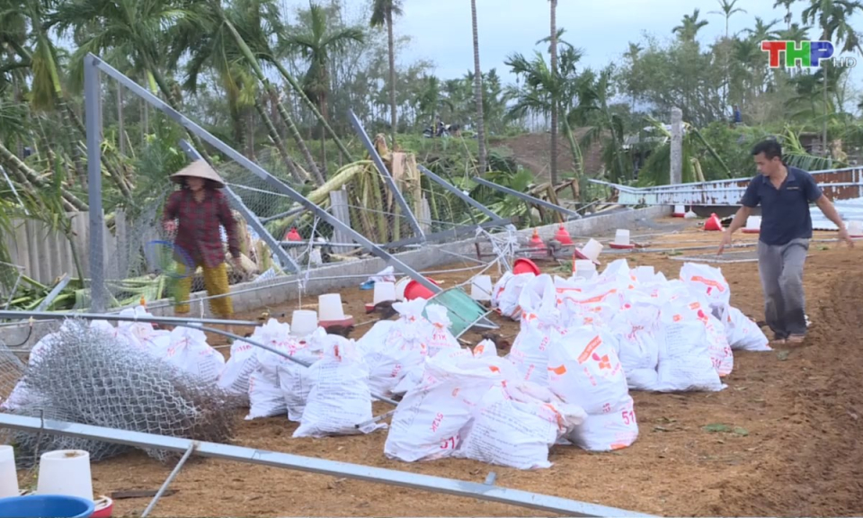 Bản tin thời sự trưa (11/09/2024)