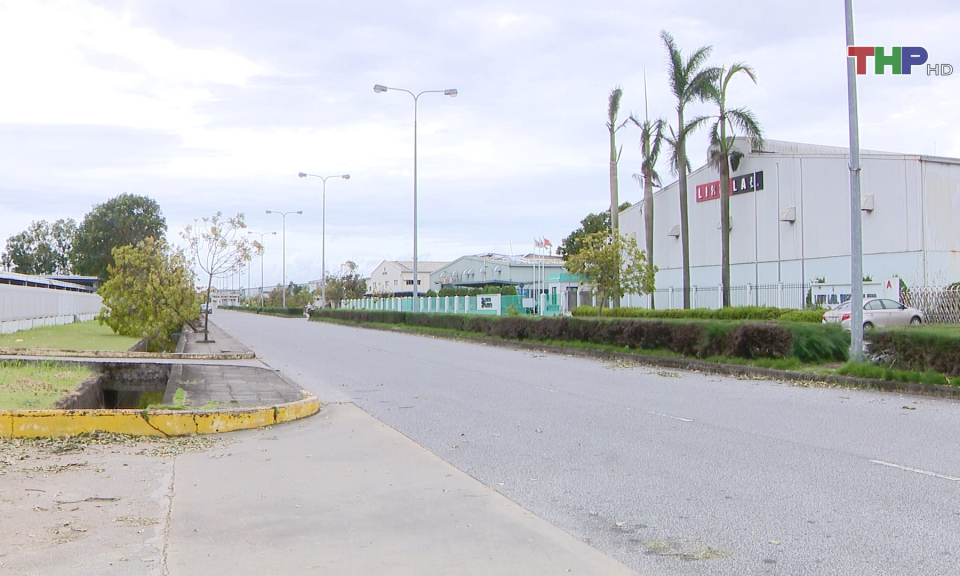 Kh&ocirc;i phục sản xuất sau b&atilde;o