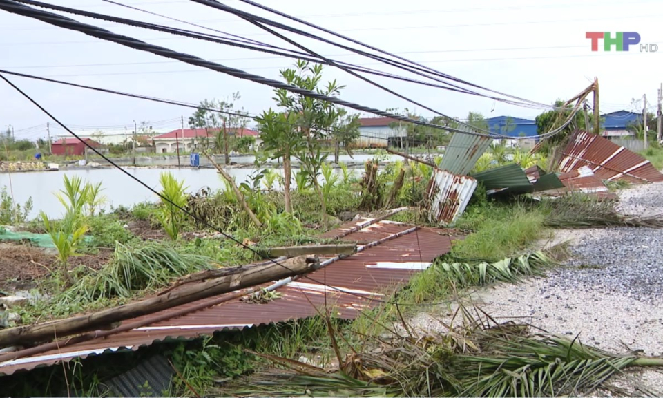 Bản tin thời sự trưa (12/09/2024)