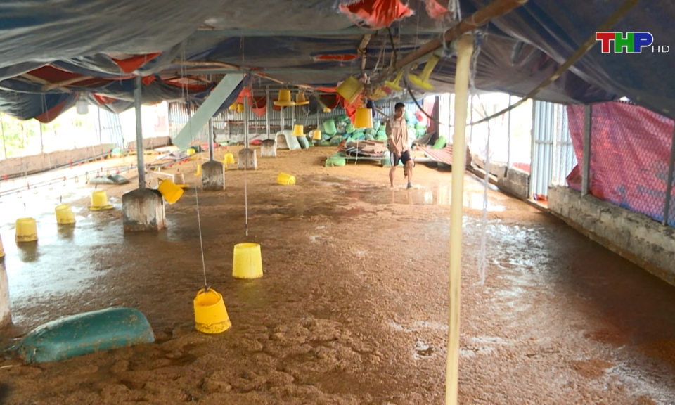 Khắc phục kh&oacute; khăn trong sản xuất n&ocirc;ng nghiệp