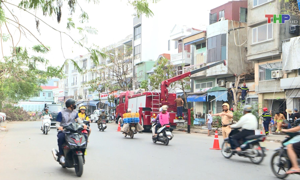 Sớm hoàn thành thu dọn cây xanh gãy đổ sau bão