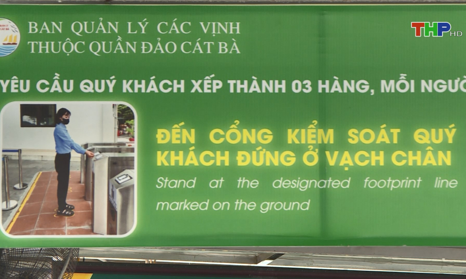 C&aacute;t B&agrave;: Hiệu quả m&ocirc; h&igrave;nh v&eacute; điện tử   