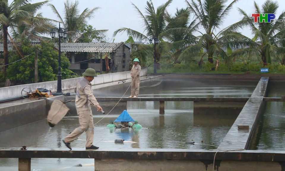 Nỗ lực cung cấp nước sạch trở lại   