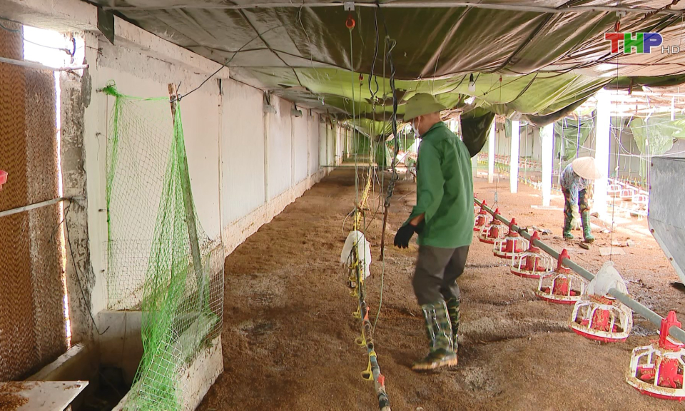 Hỗ trợ n&ocirc;ng d&acirc;n phục hồi sản xuất  