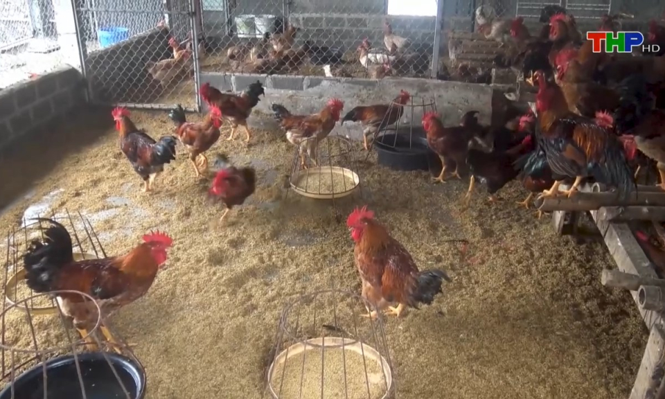 Bản tin Hải Ph&ograve;ng h&ocirc;m nay (20/09/2024)