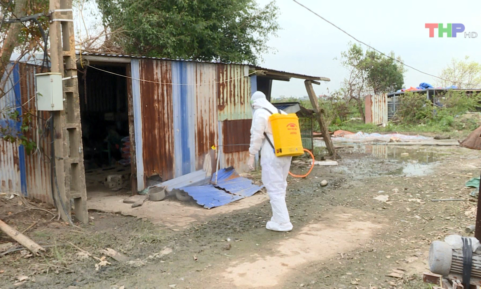 Nguy cơ gia tăng bệnh sốt xuất huyết