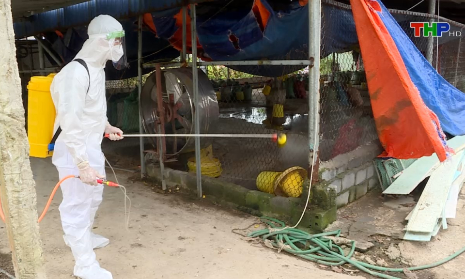 10 ph&uacute;t v&agrave;ng (22/09/2024)