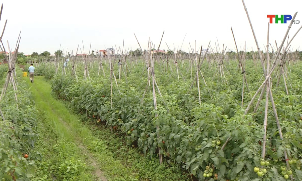 Bản tin tiếng Trung (22/09/2024)