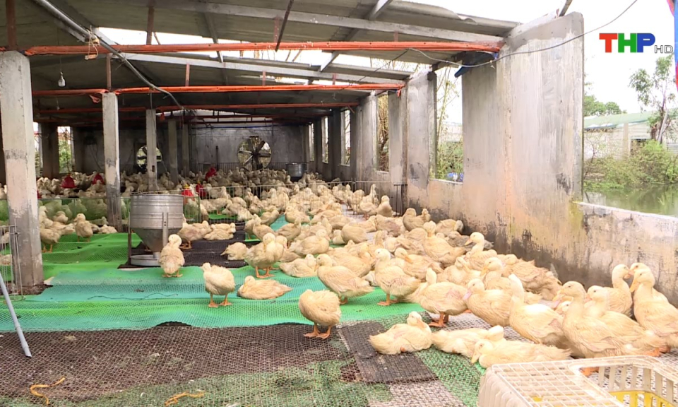 Bản tin thời sự tối (22/09/2024)