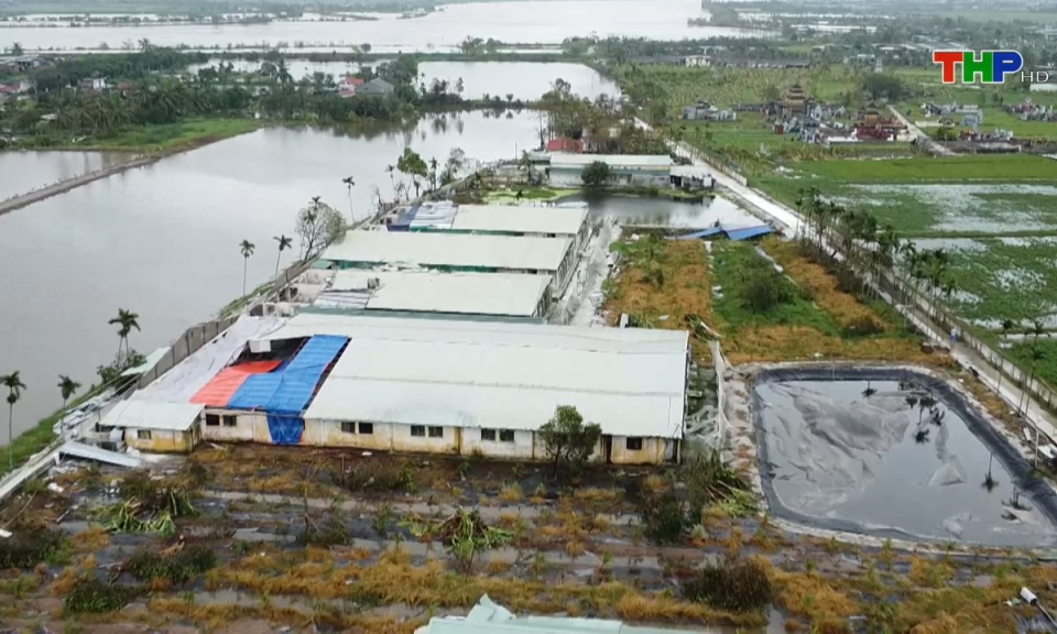 Bản tin Hải Ph&ograve;ng h&ocirc;m nay (23/09/2024)