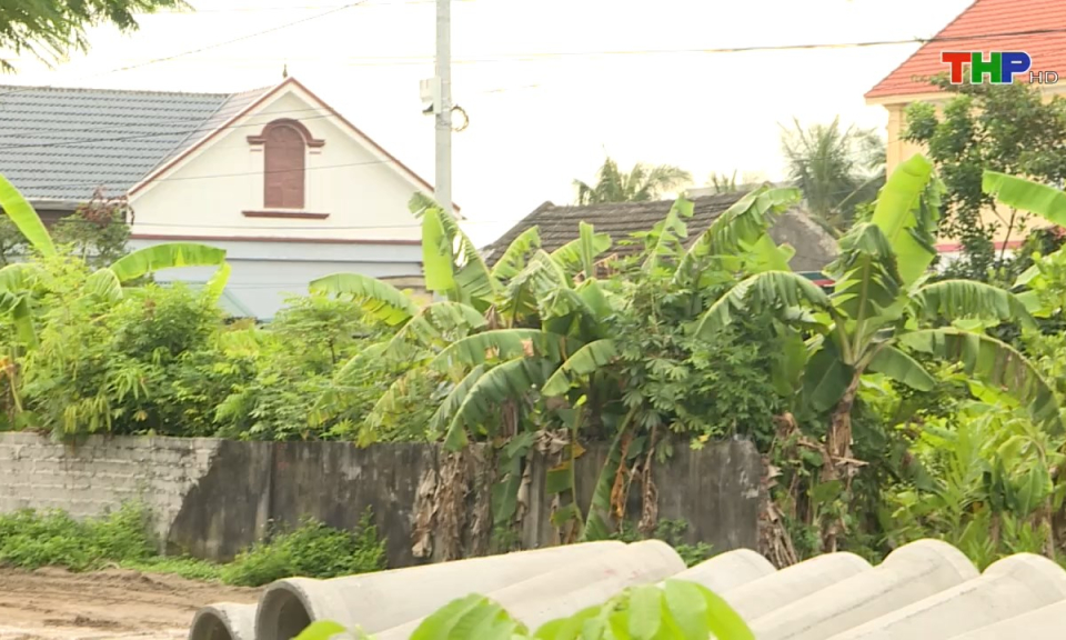 Bản tin tiếng Anh (23/09/2024)