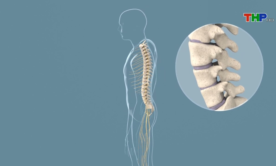 Khoa học c&ocirc;ng nghệ v&agrave; đời sống: Nghi&ecirc;n cứu ứng dụng đề t&agrave;i bơm xi măng sinh học trong kh&aacute;m v&agrave; điều trị bệnh