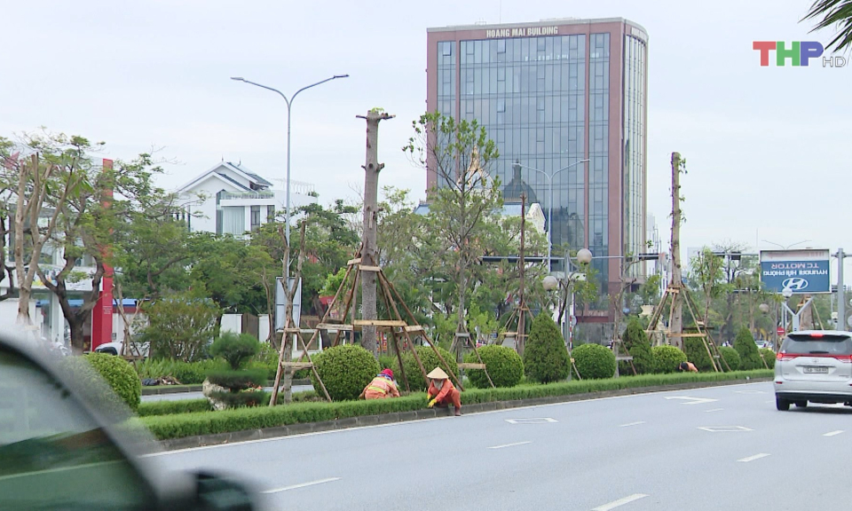 Bản tin thời sự trưa (24/09/2024)