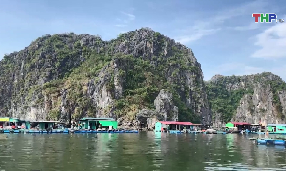 Vịnh Lan Hạ kh&ocirc;i phục hoạt động sau b&atilde;o