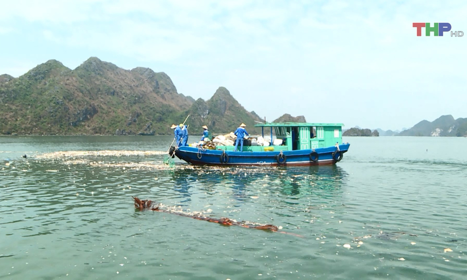 Huyện C&aacute;t Hải kh&ocirc;i phục hoạt động nu&ocirc;i trồng thủy sản