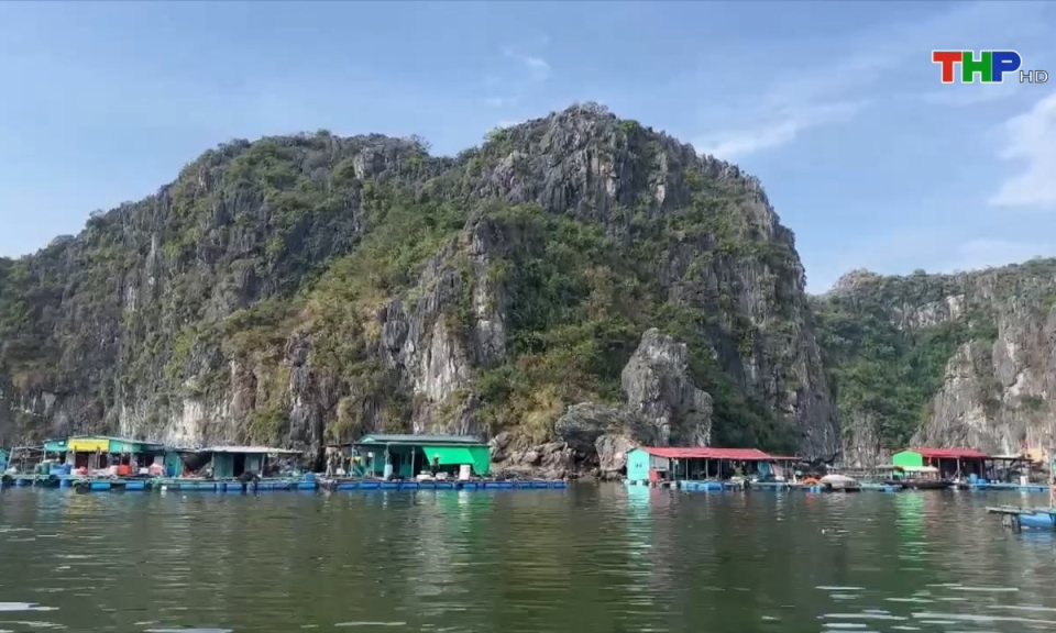 Bản tin tiếng Anh (24/09/2024)