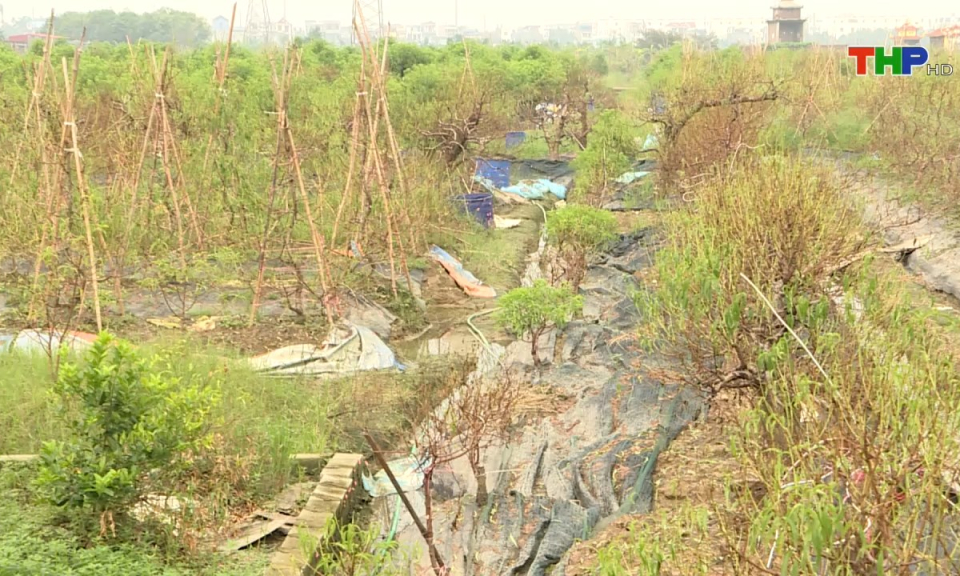 10 ph&uacute;t v&agrave;ng (25/09/2024)