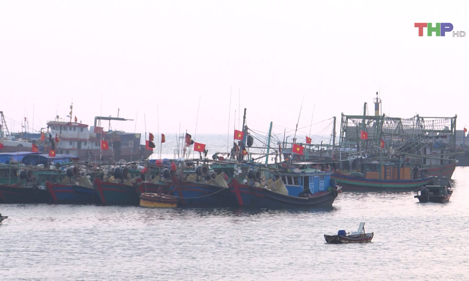 Xử l&yacute; nghi&ecirc;m h&agrave;nh vi khai th&aacute;c, mua b&aacute;n, vận chuyển tr&aacute;i ph&eacute;p thủy sản