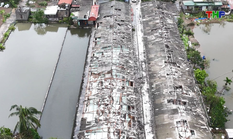 Biển Đ&ocirc;ng c&oacute; thể xuất hiện 5 cơn b&atilde;o trong cuối năm