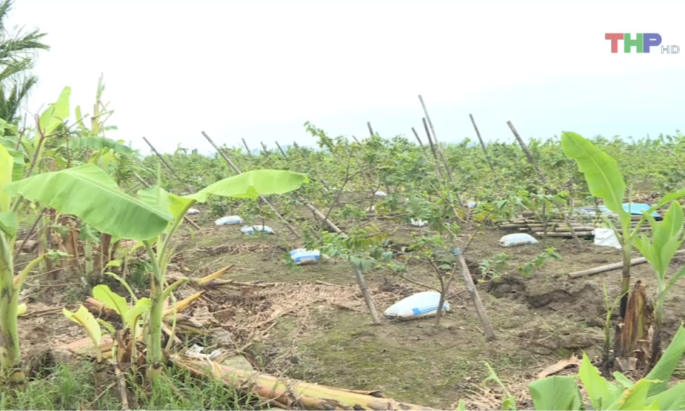 Bản tin thời sự trưa (27/09/2024)