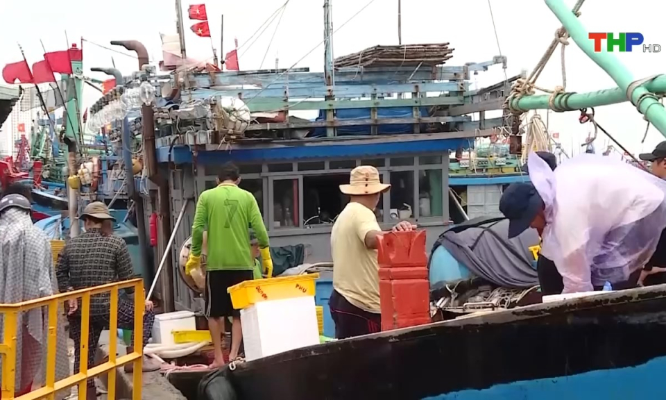 Bản tin Hải Ph&ograve;ng kết nối (27/09/2024)