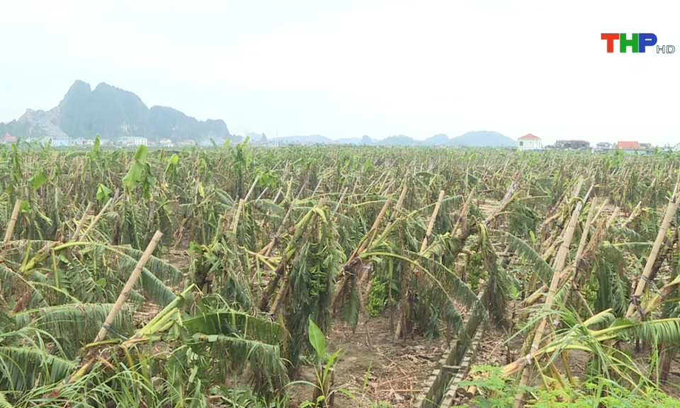 Bản tin tiếng Anh (27/09/2024)