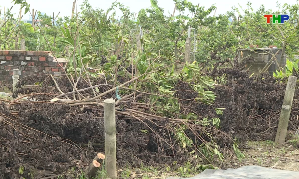 Bản tin tiếng Trung (27/09/2024)