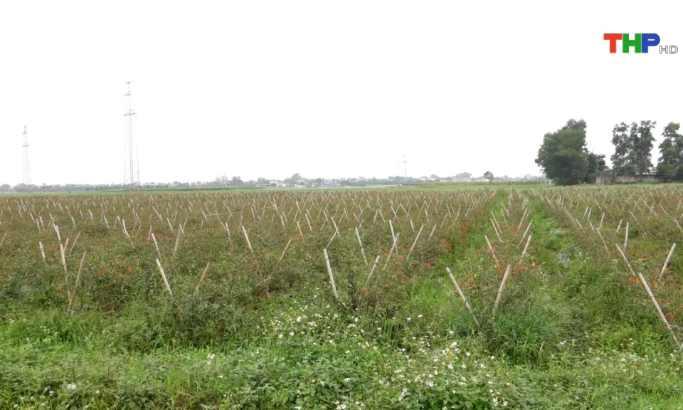 Bản tin thời sự s&aacute;ng (28/09/2024)