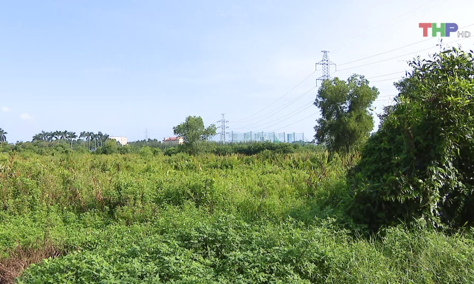 Bản tin thời sự trưa (28/09/2024)