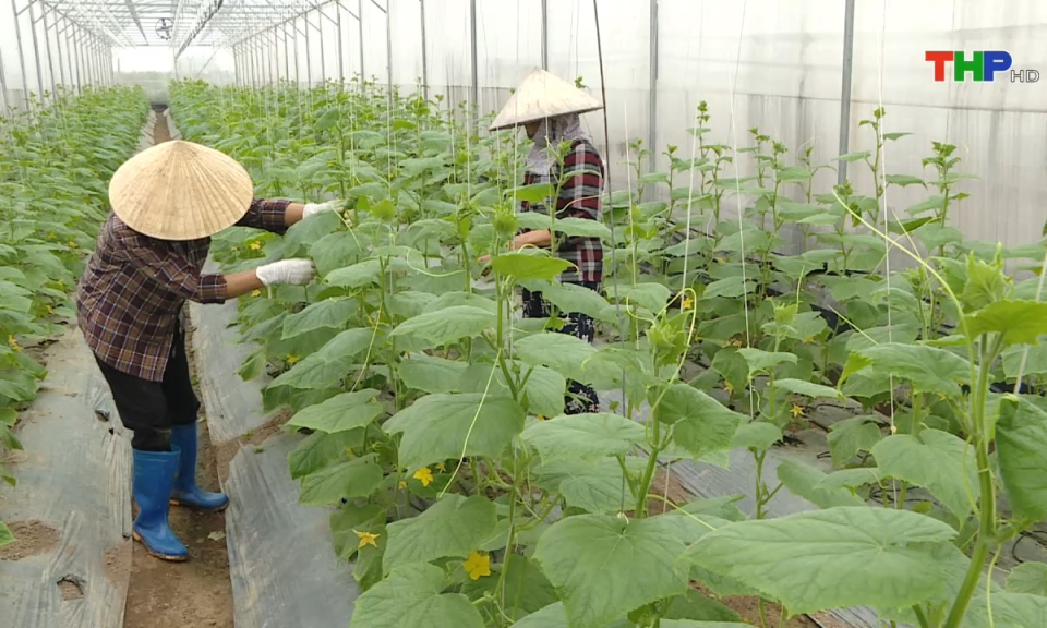 Kinh tế v&agrave; đ&ocirc; thị: Hỗ trợ cơ sở, chủ thể OCOP khắc phục thiệt hại sau b&atilde;o