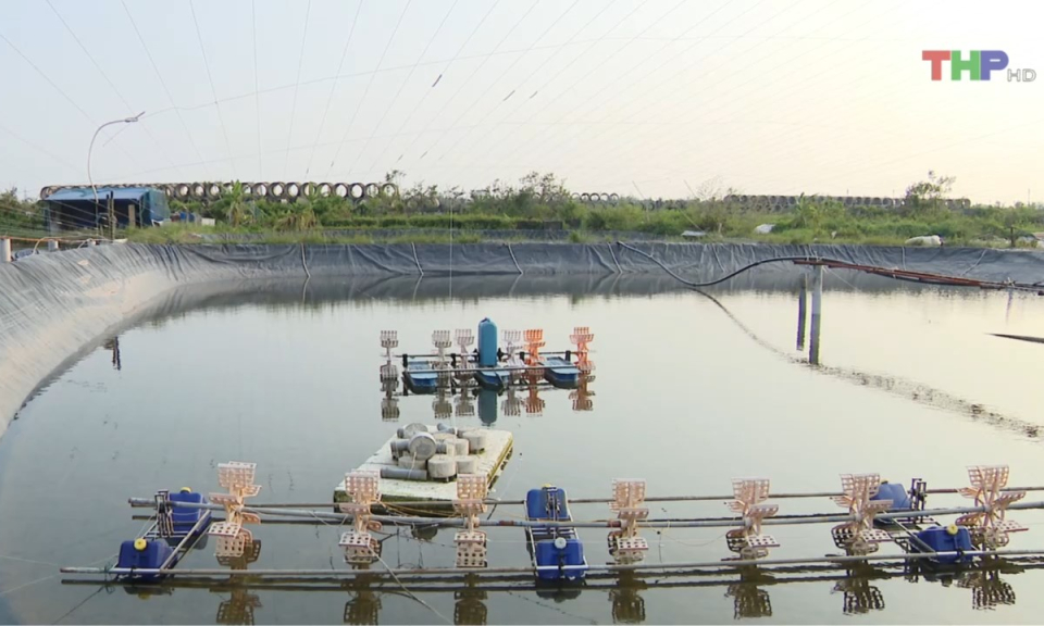 Bản tin thời sự trưa (29/09/2024)