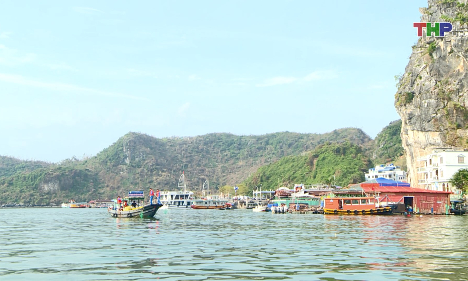 Bảo vệ cảnh quan, m&ocirc;i trường tại đảo C&aacute;t B&agrave;