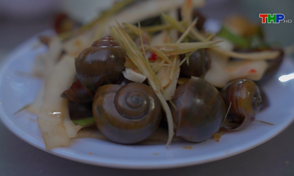 Đến Hải Ph&ograve;ng, đi l&ograve;ng v&ograve;ng: Ốc Hải Ph&ograve;ng