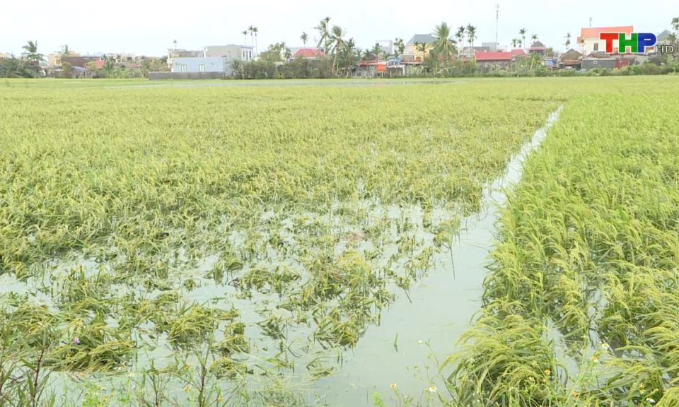 Bản tin thời sự s&aacute;ng (01/10/2024)